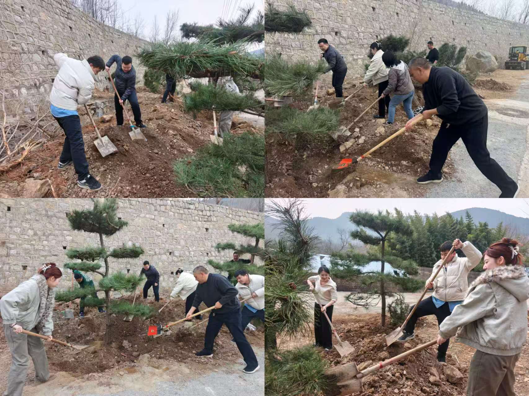 aa892e3c0ccc526dd3e29c6317c42068.jpg aa892e3c0ccc526dd3e29c6317c42068.jpg